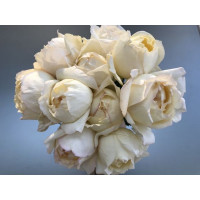 Роза Крим пьяже