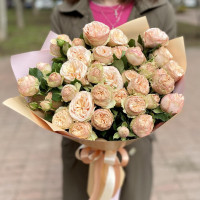 Троянда спрей  піоновидна    Джентл Трендсеттер Gentle TRENDSETTER 
Саженці 2 роки.