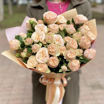 Троянда спрей  піоновидна    Джентл Трендсеттер Gentle TRENDSETTER 
Саженці 2 роки.
