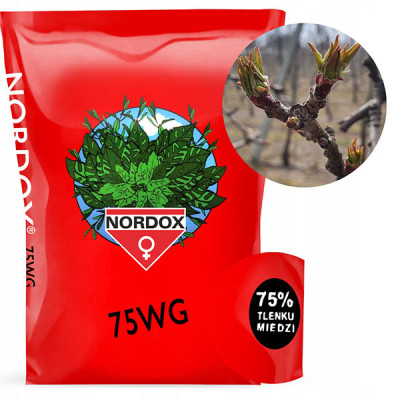 Фунгіцид Нордокс (Nordox 75 WG), 200г, Норвегія, оригінал