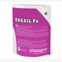 Добриво Брексіл Залізо (Brexil Fe), 1кг, Італія, оригінал